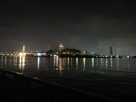 高活性タチウオ・サバ