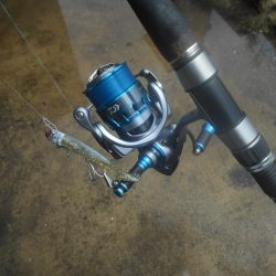 雨後のデイゲーム