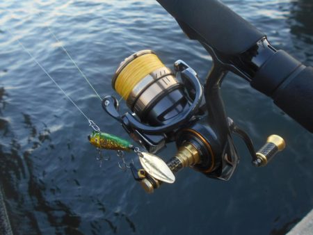 まだまだ低活性か？