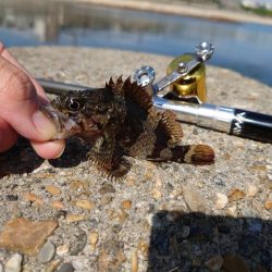 雨の合間を縫って