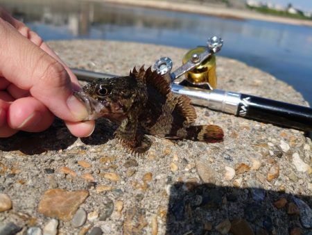 雨の合間を縫って