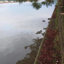 小物釣りの合間に