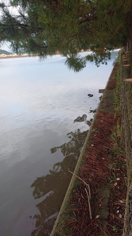 小物釣りの合間に