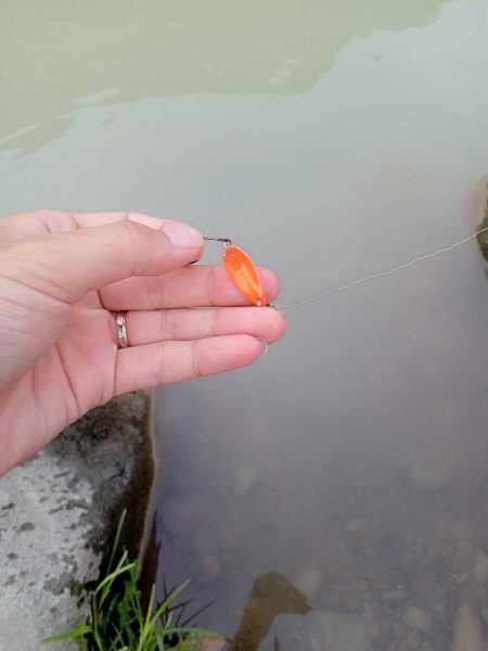 フィッシングフィールド中津川で管釣り