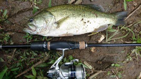 おかっぱリで数釣り！！