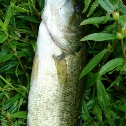 朝からハイプレッシャー！！