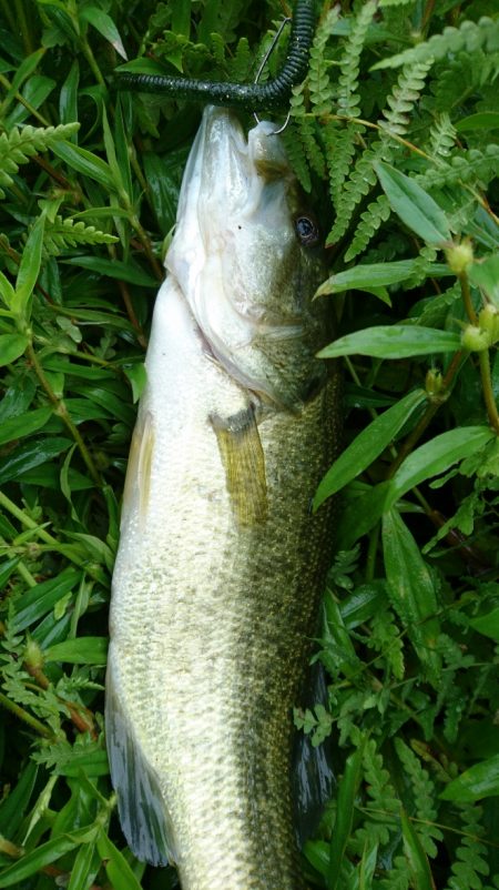 朝からハイプレッシャー！！