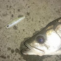 下げ止まりから