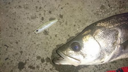 下げ止まりから