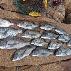 雨の合間にフカセ