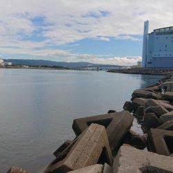 朝のテトラ前打ち