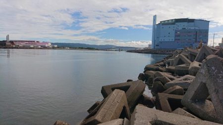 朝のテトラ前打ち