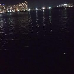 ぶら河川調査!!