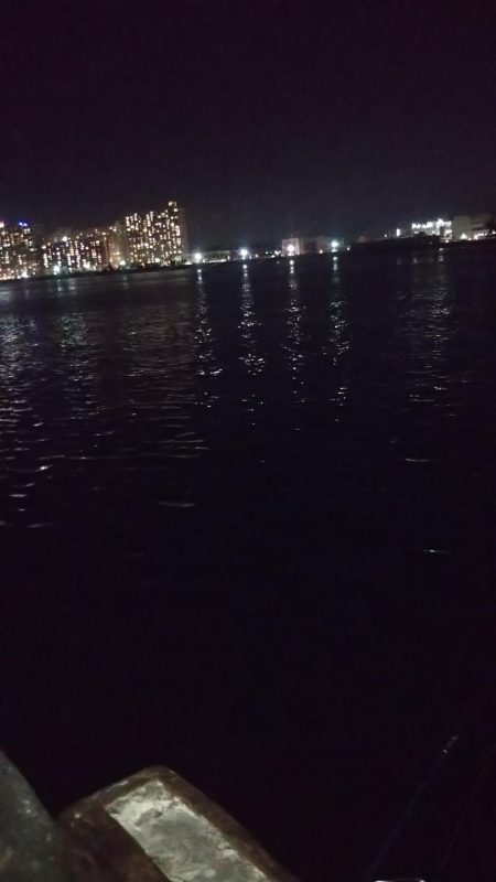 ぶら河川調査!!