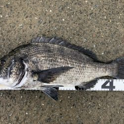 イチノ兄弟、釣果！