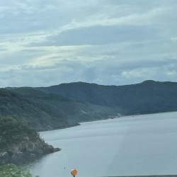 大判カワハギ釣れてます!