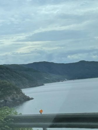 大判カワハギ釣れてます!