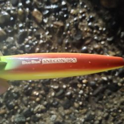 フッコ45cm ヒラメ35cm 粘りました