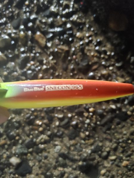 フッコ45cm ヒラメ35cm 粘りました