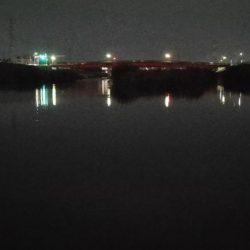 自転車うなぎ釣り