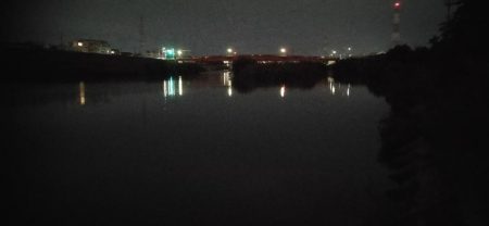 自転車うなぎ釣り