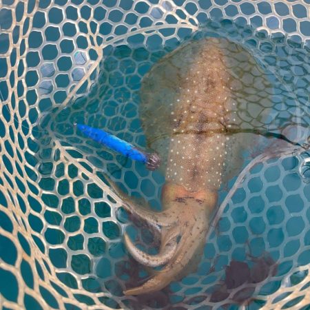 A.P.Pフィッシングガイドサービス　7月の上五島でカヤックフィッシングポイントを探す！