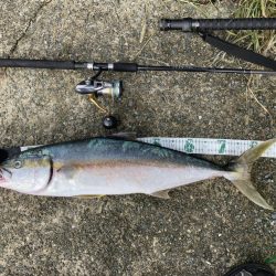 A.P.Pフィッシングガイドサービス　今夏のヒラマサをプロトルアーでRIDEON！となる