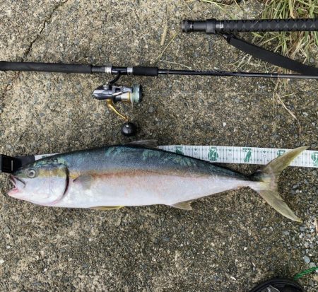 A.P.Pフィッシングガイドサービス　今夏のヒラマサをプロトルアーでRIDEON！となる