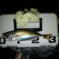 (尺アジ)フロートゲーム