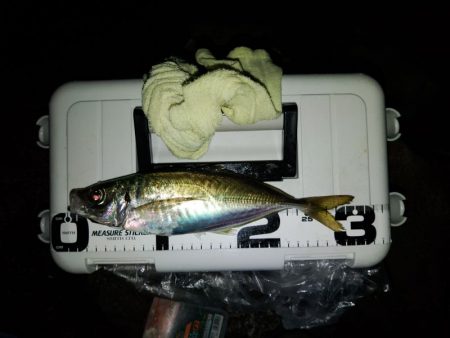 (尺アジ)フロートゲーム