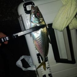 フロートゲーム～