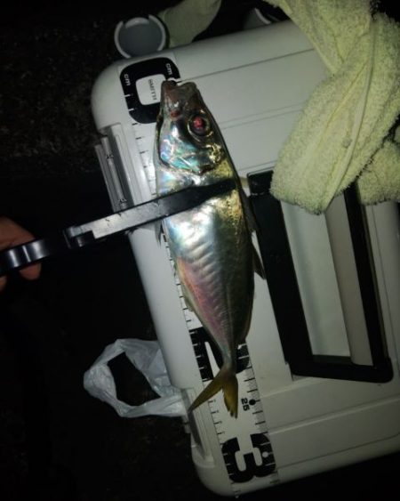 フロートゲーム～