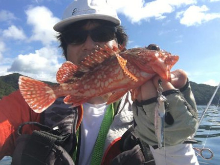 長崎　上五島　A.P.Pフィッシングガイドサービス　サバのナブラ発生