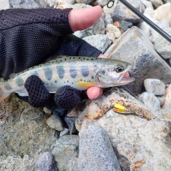 禁漁期間のその前に