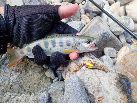 禁漁期間のその前に