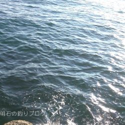 サヨリ、アナゴ、小物合計11目！