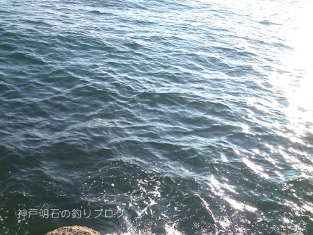 サヨリ、アナゴ、小物合計11目！