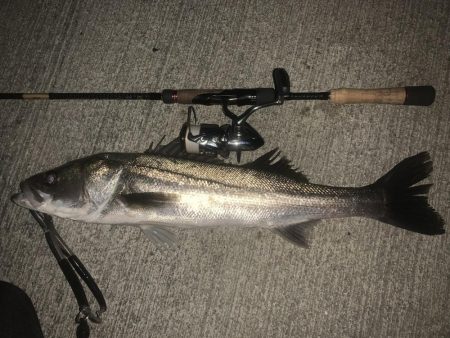 イナッコボイル