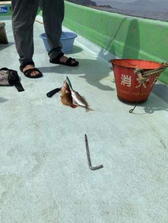 津島でライトジギング