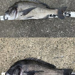 イチノ兄弟、釣果!