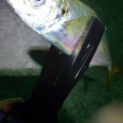 おじさんの夏休み