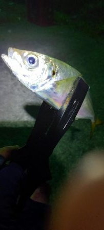 おじさんの夏休み