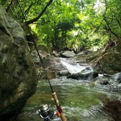 夏ヤマメ一里一匹