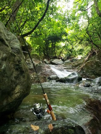 夏ヤマメ一里一匹