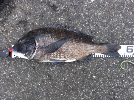 年無し2連続ヒット