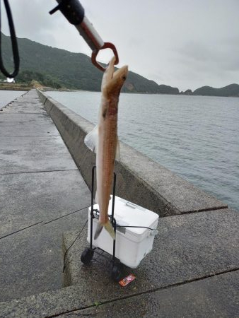 小豆島遠征part1