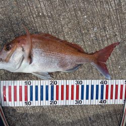 小豆島遠征part2