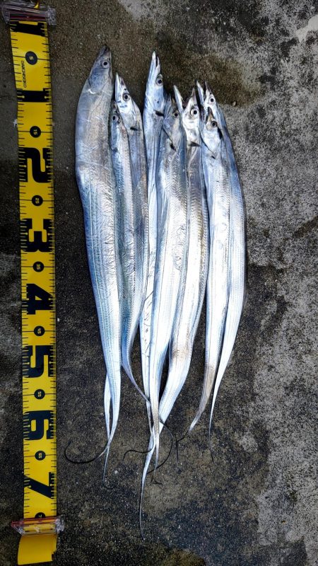 刀狩りしてきました