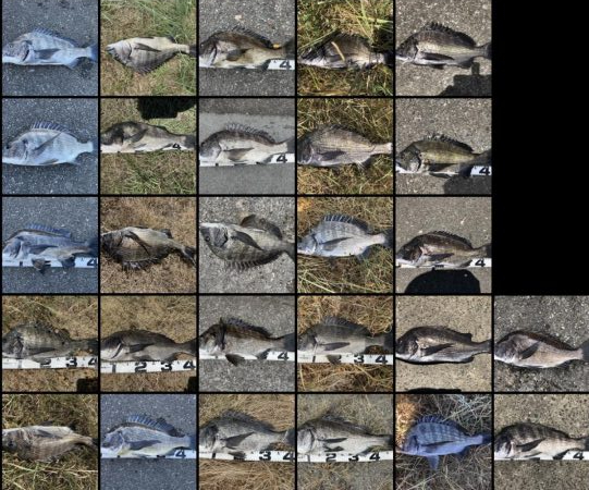 イチノ兄弟、釣果！