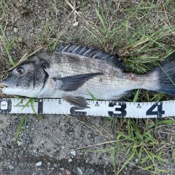 イチノ兄弟、釣果！